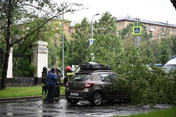 МЧС: в Подмосковье из-за непогоды повреждены 11 машин, упали более 120 деревьев